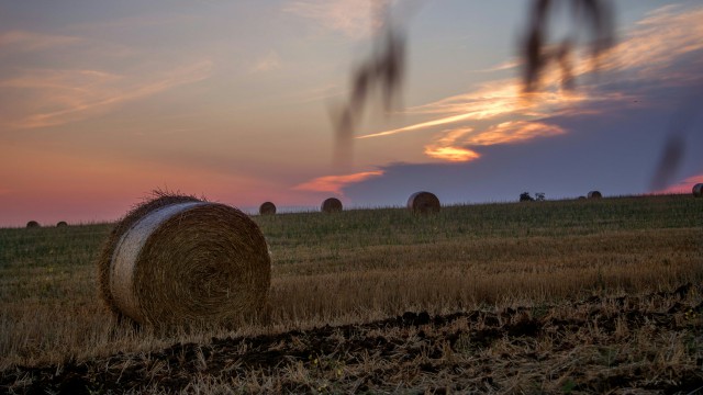 agriturismo-4-ricci-cerveteri-esterni-46